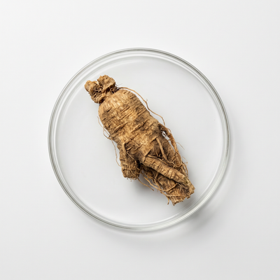 Ginseng
