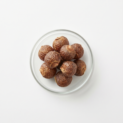 Soap Nut
