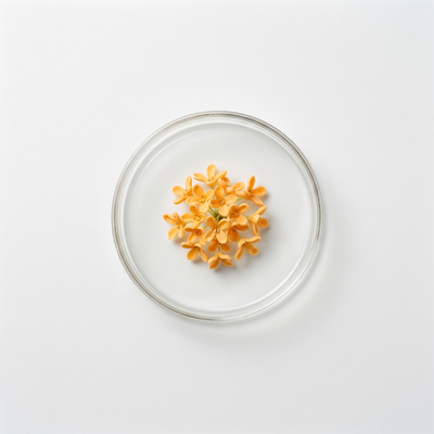 Osmanthus Flower