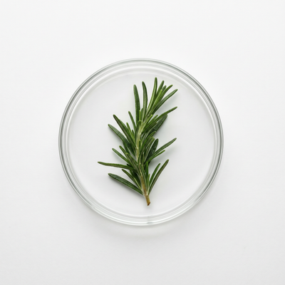 Rosemary